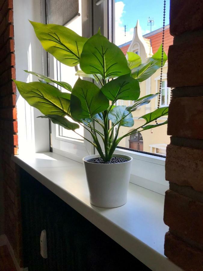 Apartament Odrzanka Gryfino Zewnętrze zdjęcie